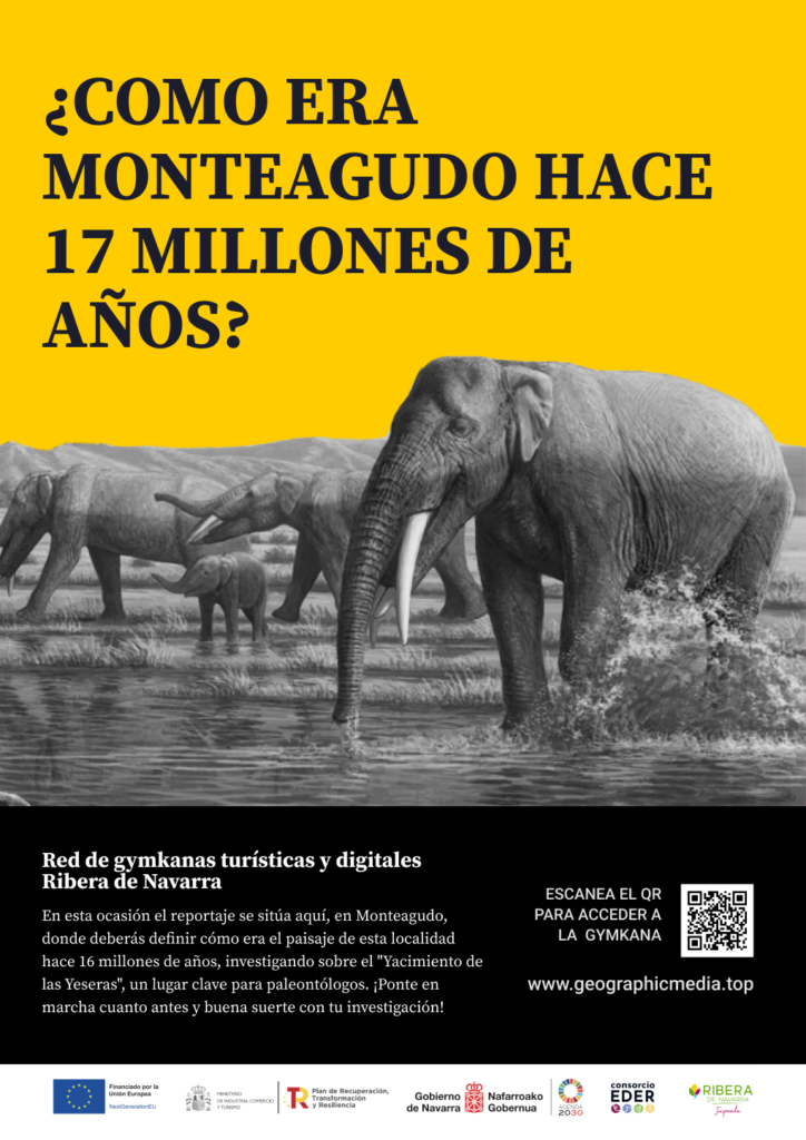 Imagen de fondo de la sección