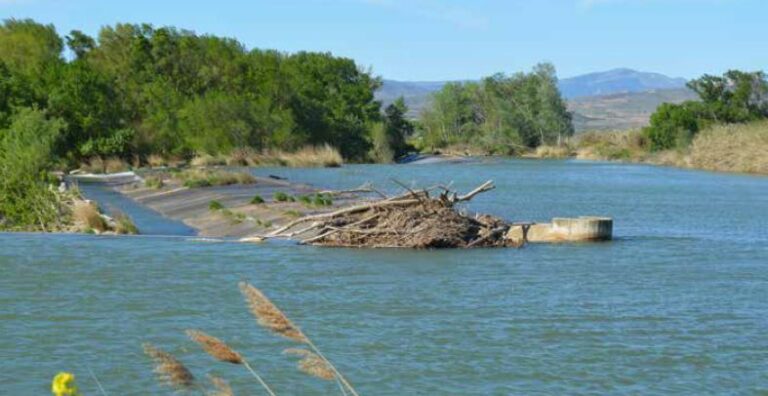 Presa de Machín