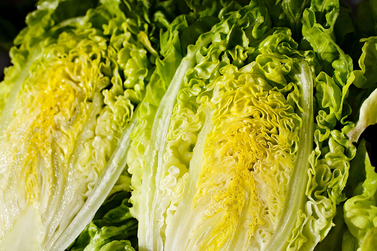 Section background image