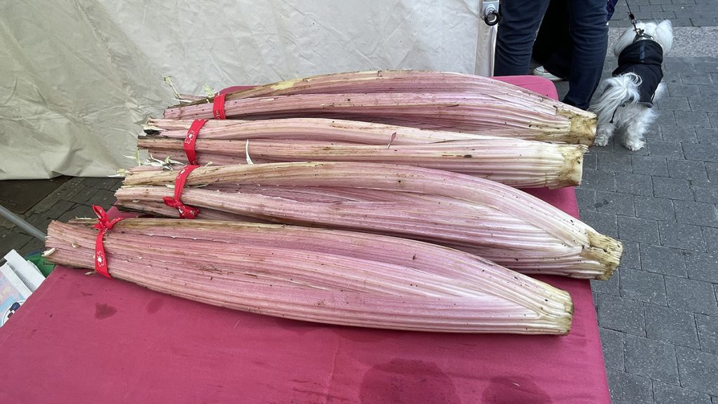 Imagen de fondo de la sección