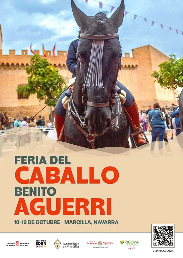 Cartel Día del Caballo 2025