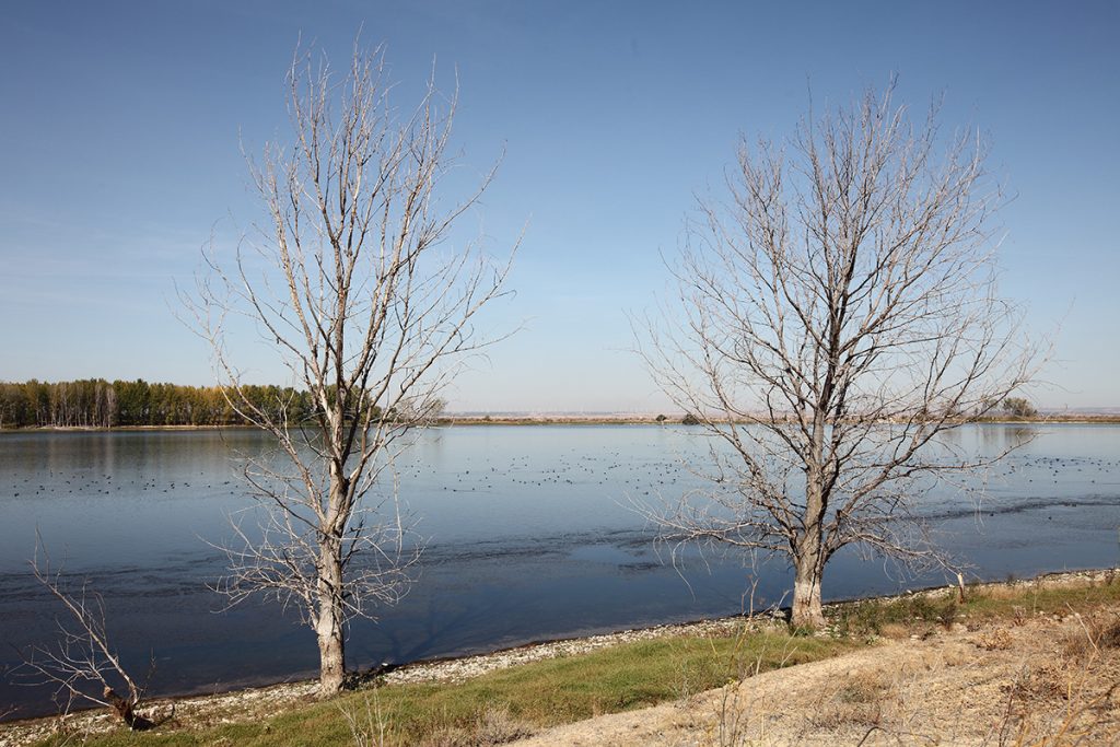 Section background image
