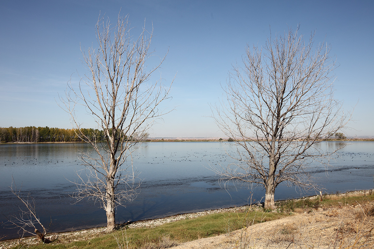 Laguna de Lor