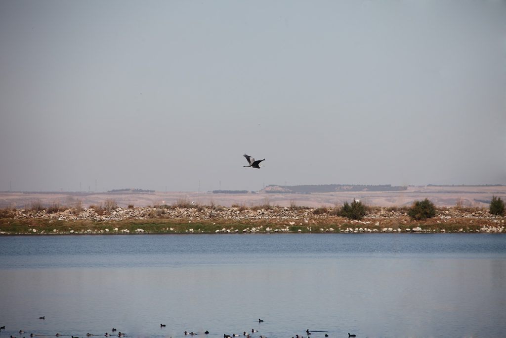 Ablitas - Laguna de Lor
