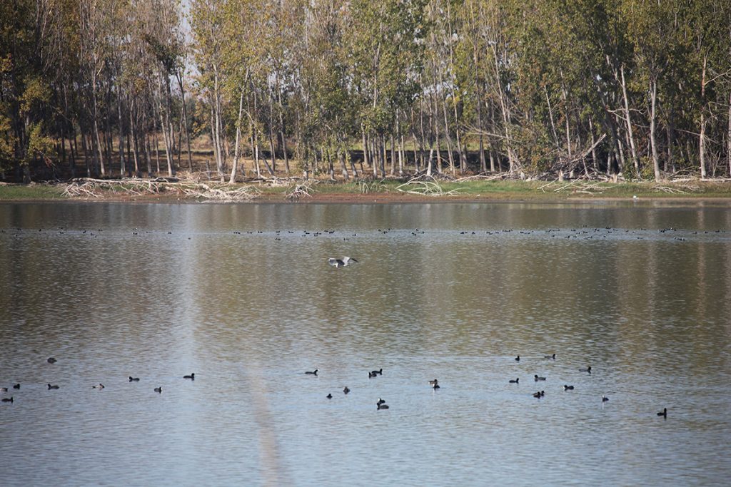Ablitas - Laguna de Lor