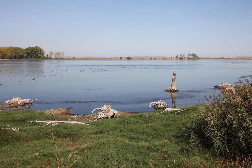 Ablitas - Laguna de Lor