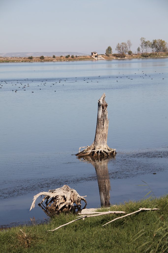 Ablitas - Laguna de Lor