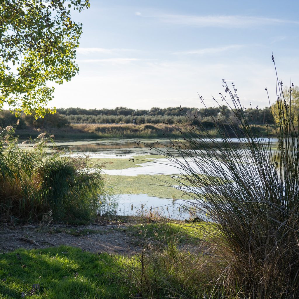 Ablitas - Laguna de Lor