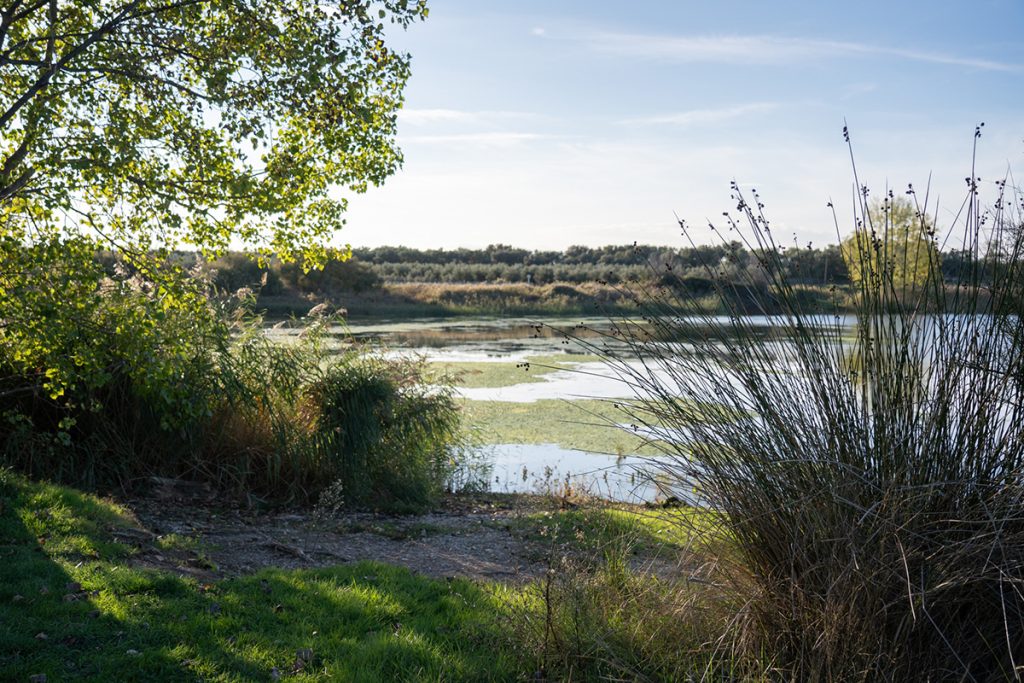 Ablitas - Laguna de Lor