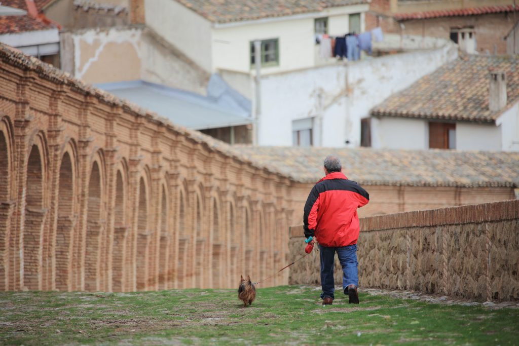 Cascante - Arquería del Romero