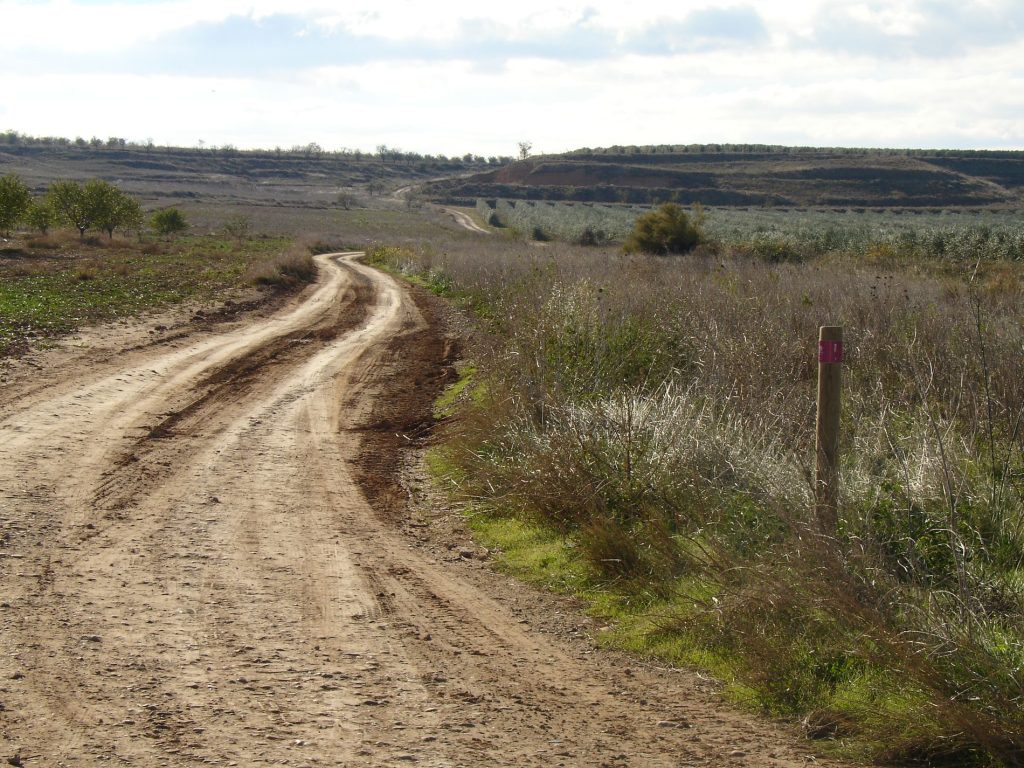 Ruta BTT CALZADA ROMANA - Foto 4