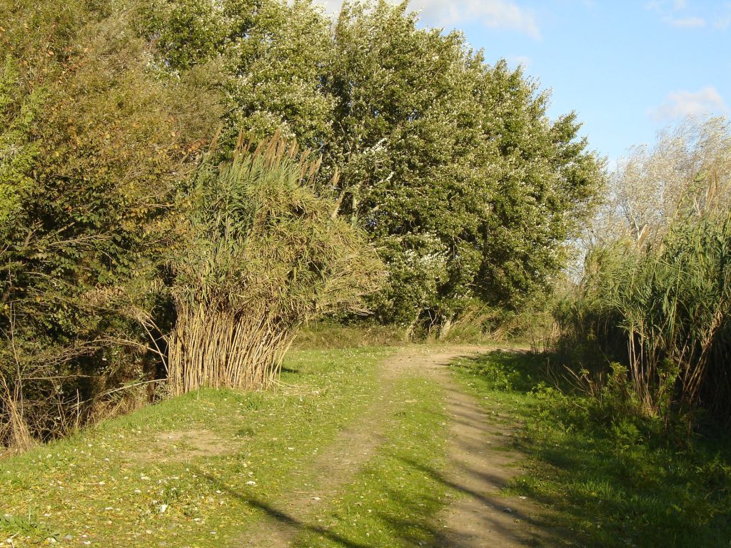 Ruta BTT CAMINO NATURAL DEL EBRO - Foto 4