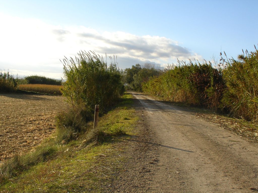 Ruta BTT CAMINO NATURAL DEL EBRO - Foto 7
