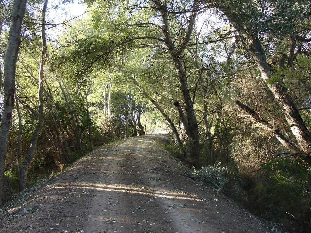 Ruta BTT CAMINO NATURAL DEL EBRO - Foto 8