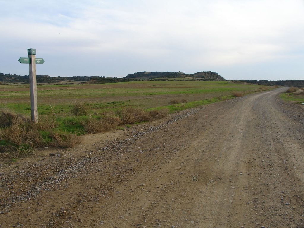 Ruta BTT CAÑADA REAL DE LOS RONCALESES - Foto 5