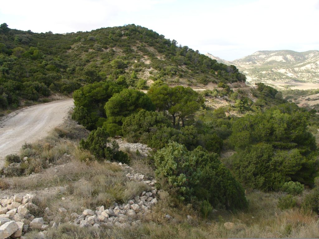 Ruta BTT CAÑADA REAL DE LOS RONCALESES - Foto 9