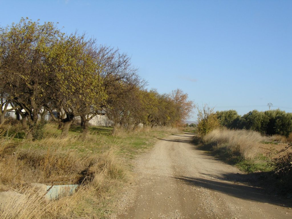 Ruta BTT CUENCA DEL QUEILES - Foto 5