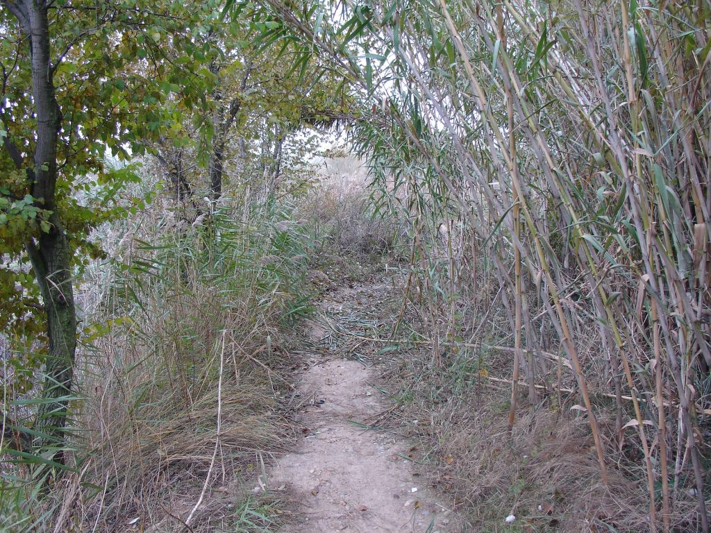 Ruta BTT EL BOCAL - Foto 7