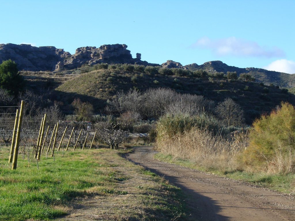 Ruta BTT LOS BLANCARES - Foto 7