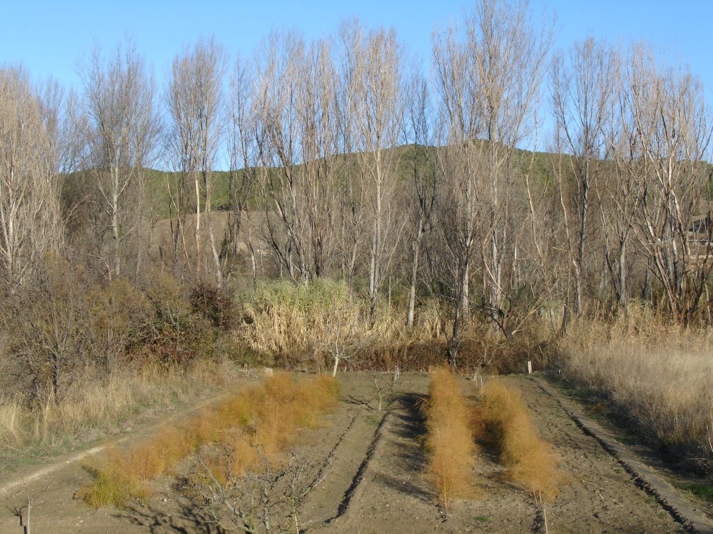 Ruta BTT LOS BLANCARES - Foto 8