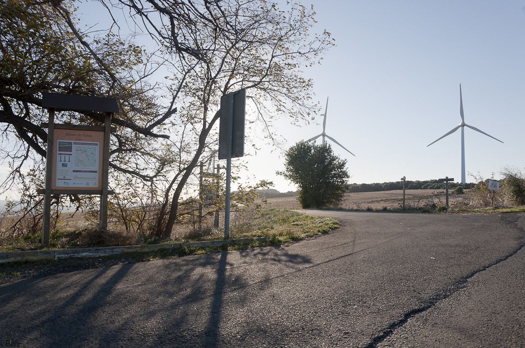 Imagen de fondo de la sección