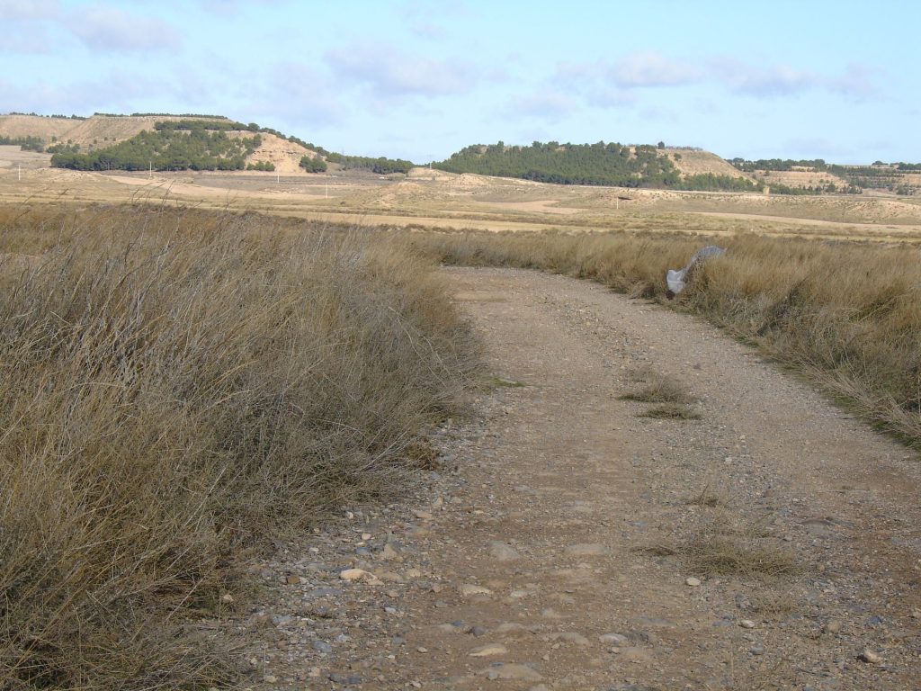 Ruta BTT MONTES DE CIERZO - Foto 5
