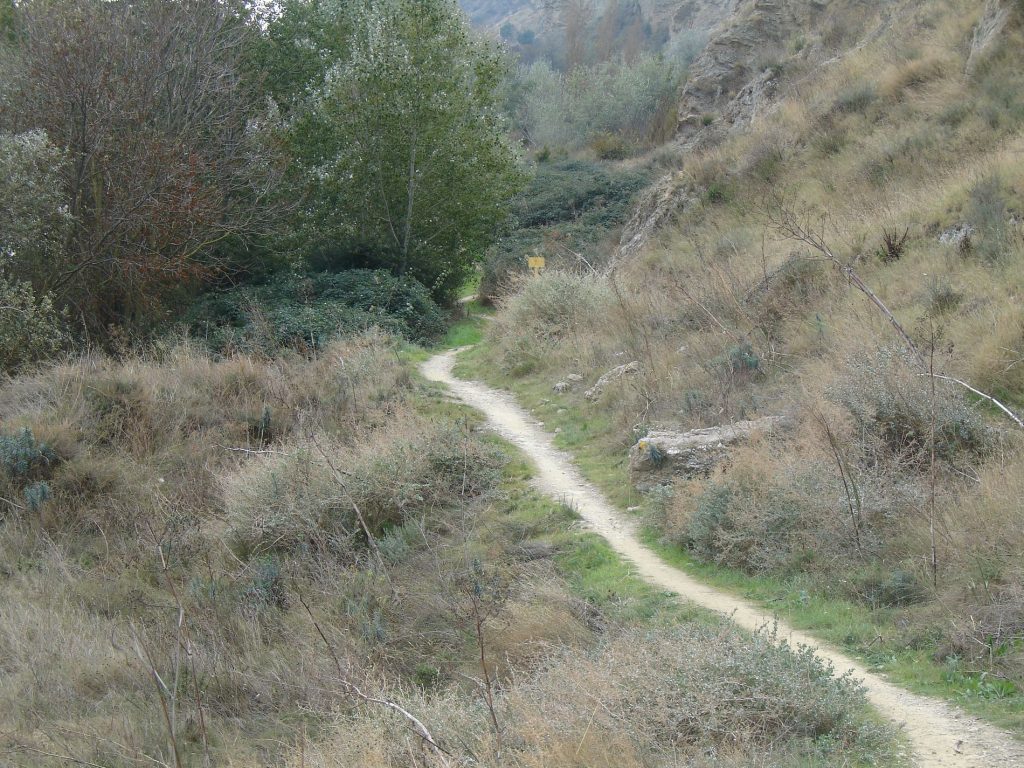 Ruta BTT ORILLAS DEL ARGA - Foto 2