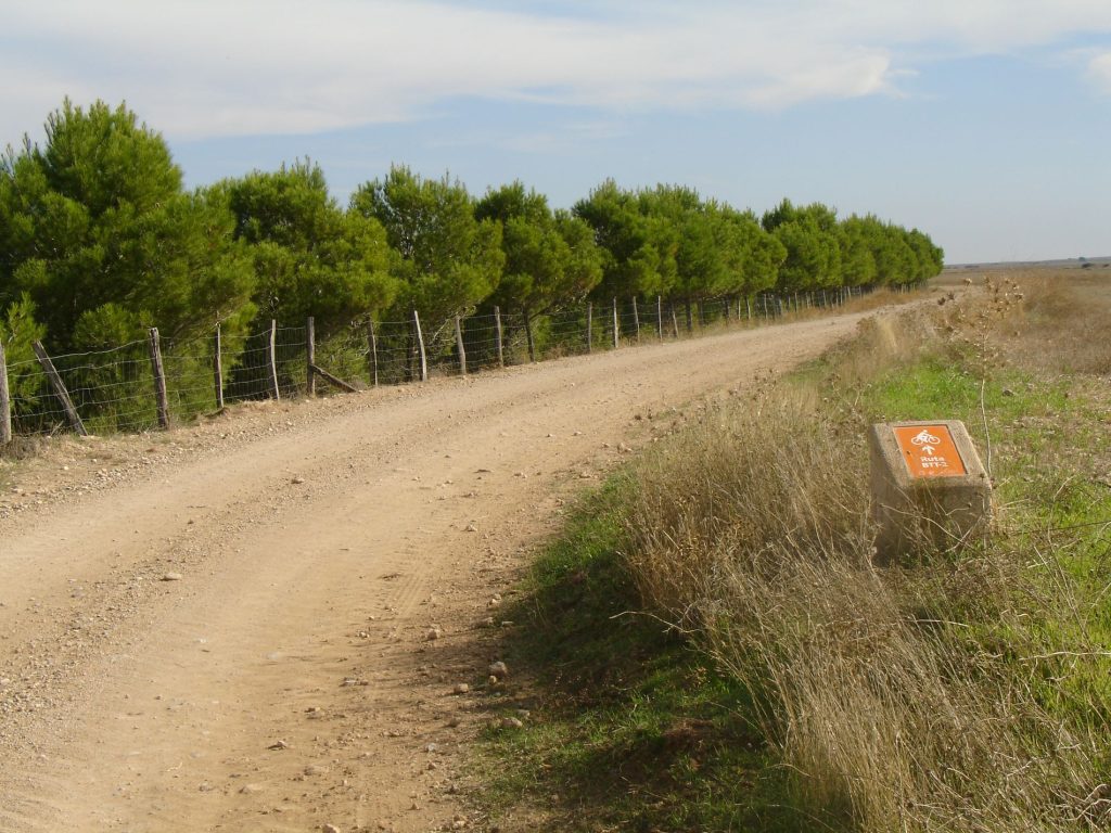 Ruta BTT VUELTA AL EMBALSE DEL FERIAL - Foto 6