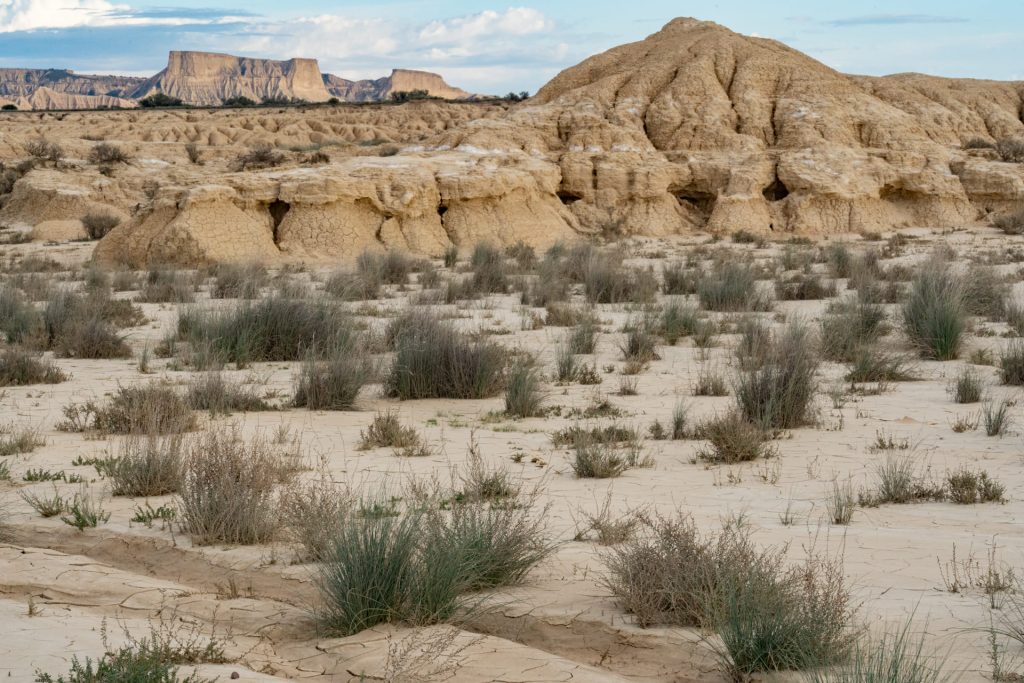 Bardenas Reales