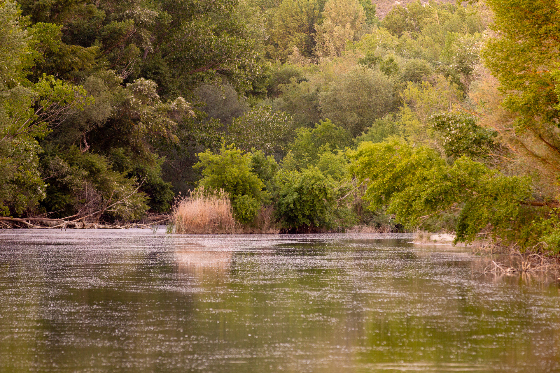 Naturaleza