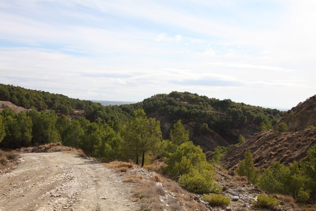 Peralta - Atalaya y restos del antiguo castillo