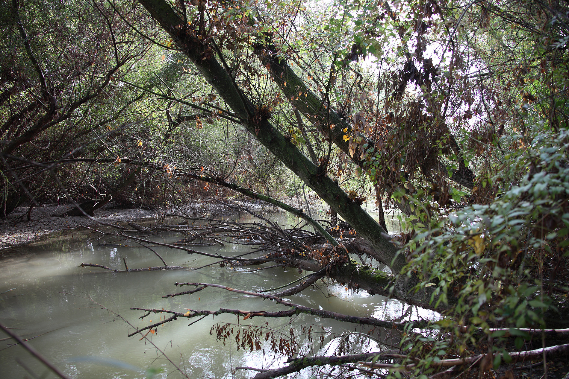 Río Arga, Vallacuera y Pueblo Viejo