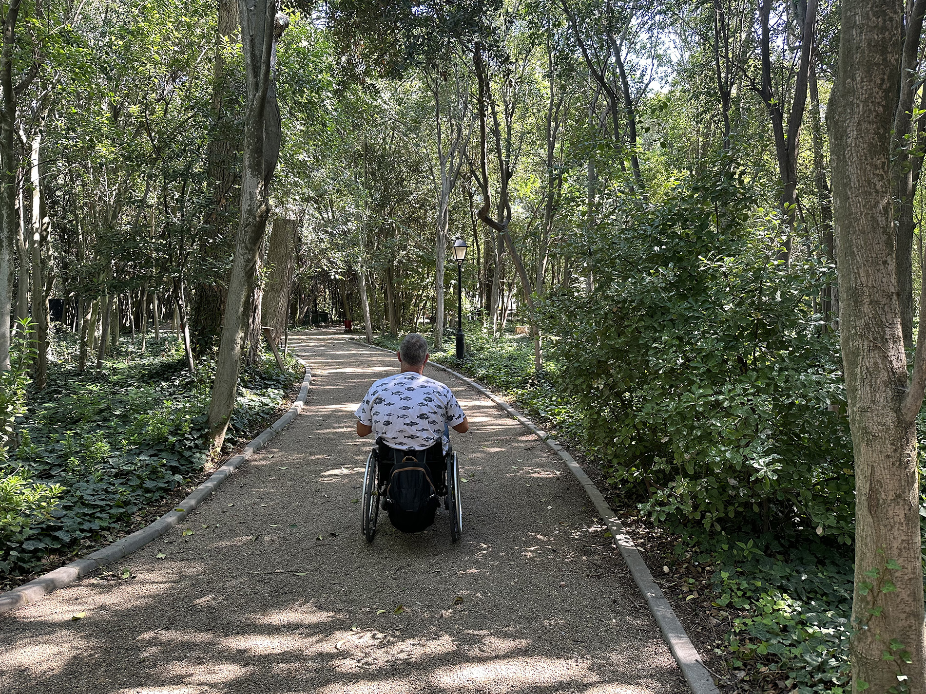 Persona usuaria de silla de ruedas pasea por un sendero entre árboles.