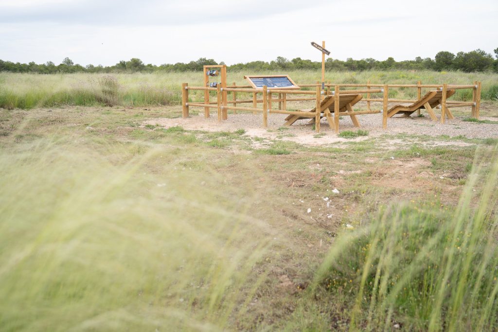 Mirador Starlight de Ablitas
