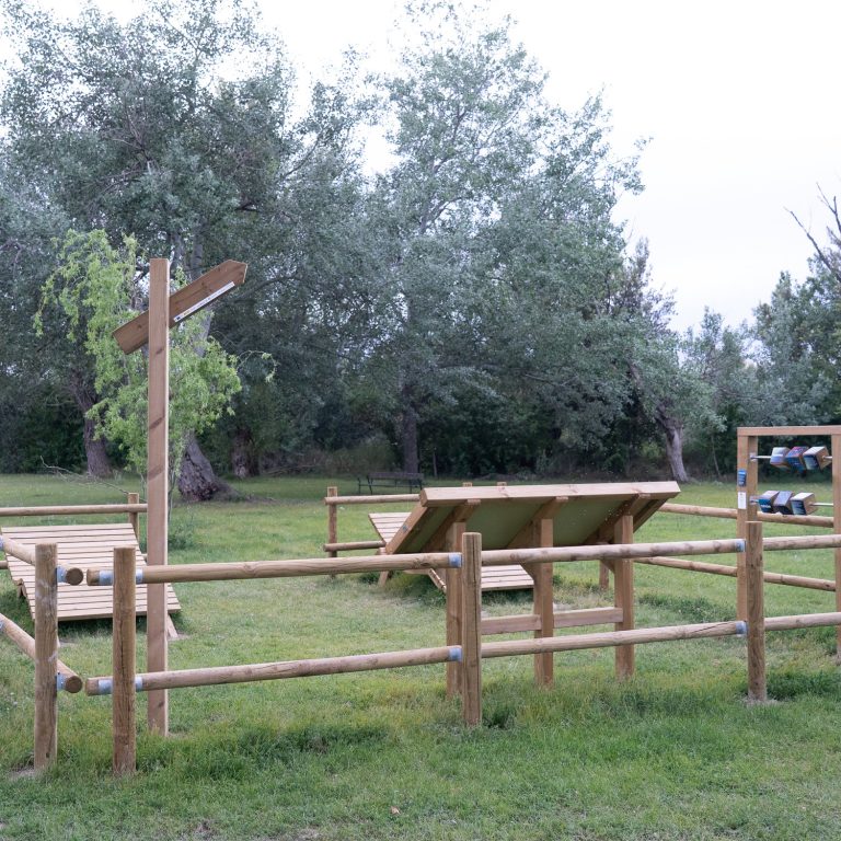Mirador Starlight