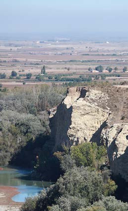 Mirador de Aves Garza Real